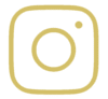 icon - ig 100px.png